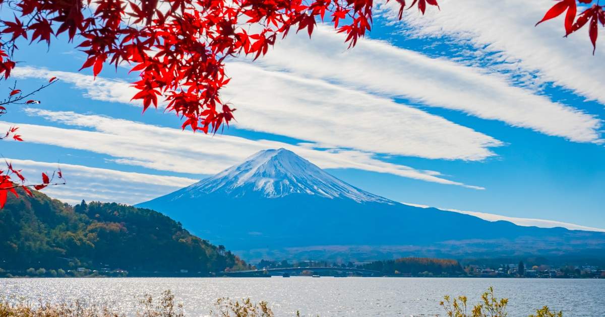 SUNTORY WHISKY Pine Lake パイン レイク Suntory Whisky Museum & Forest Distillery Day Trip | Mt. Fuji New